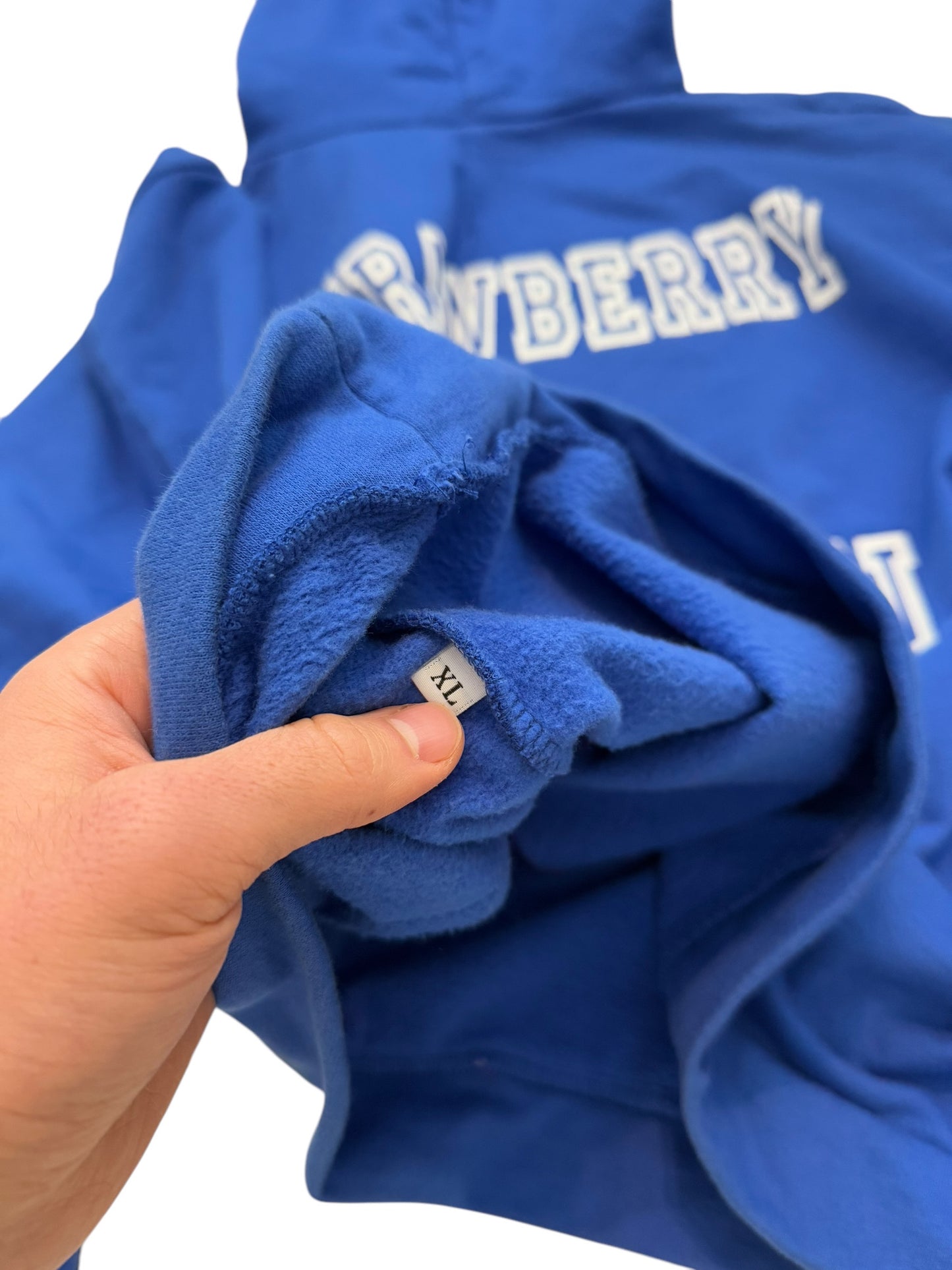 Blue Strawberry Mansion Hoodie