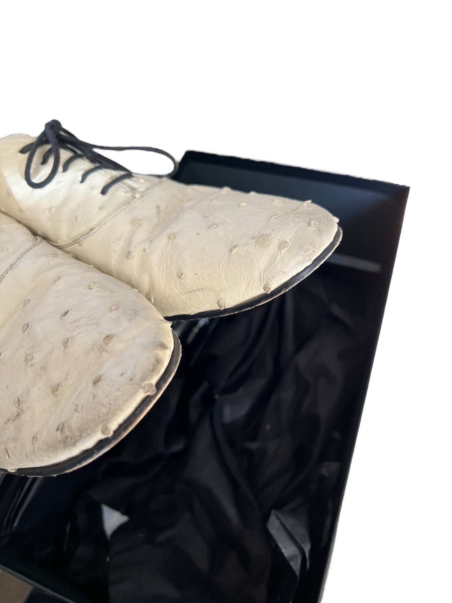 Ostrich Lace Up Derby