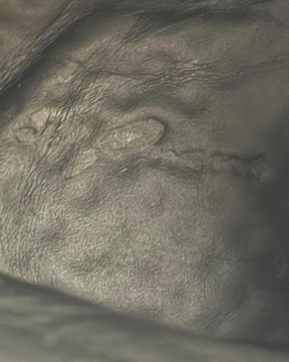 Mainline Leather High Ramones