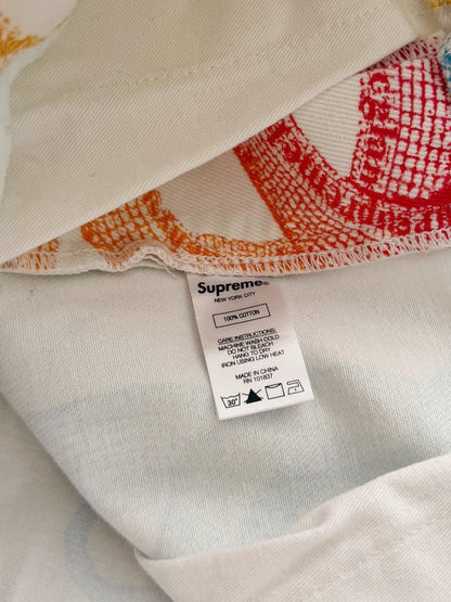 Rainbow Snake Denim Carpenter