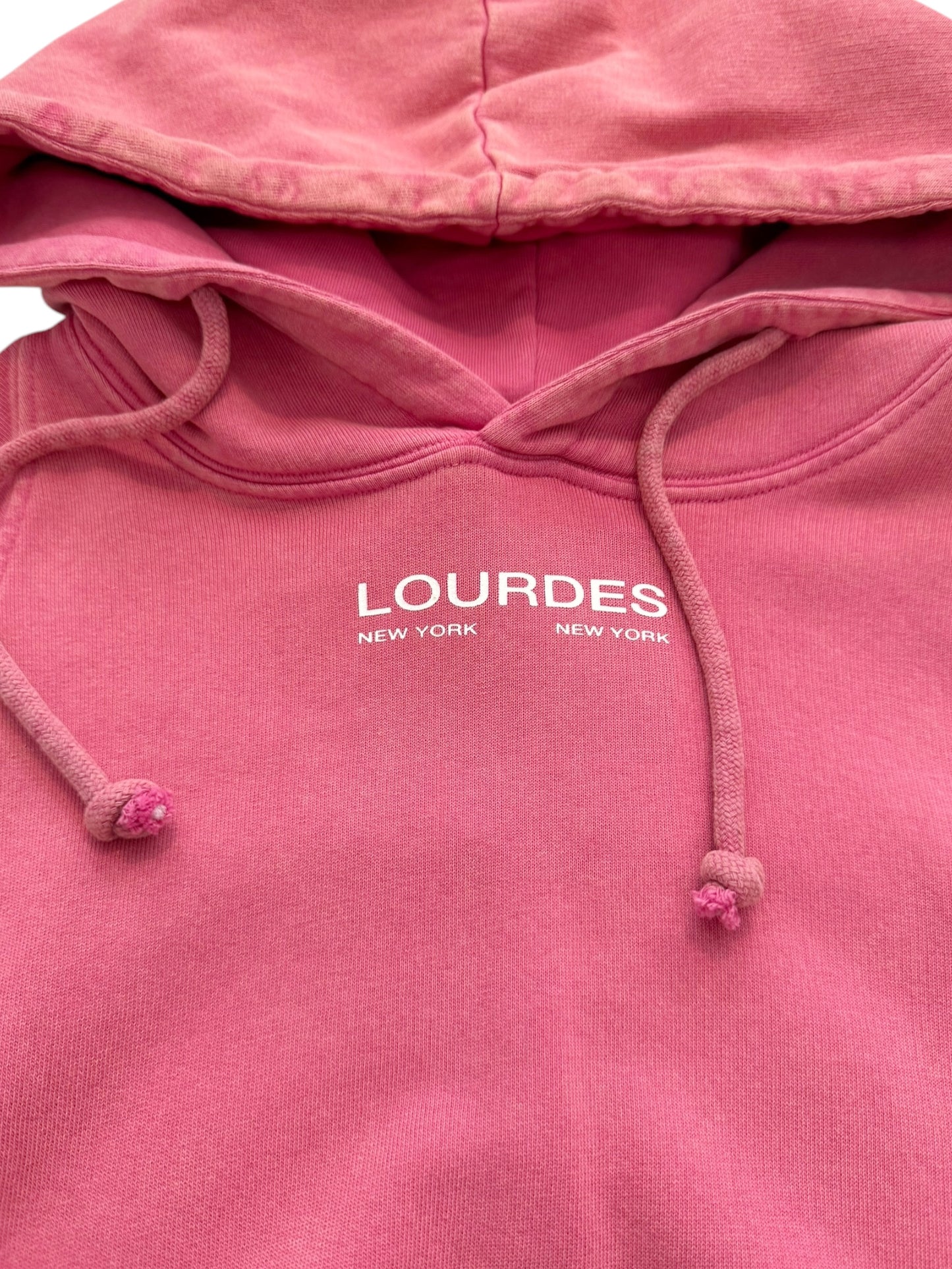 Swarovski Logo Overdyed Hoodie