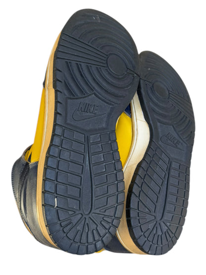 1998 Michigan High Dunk