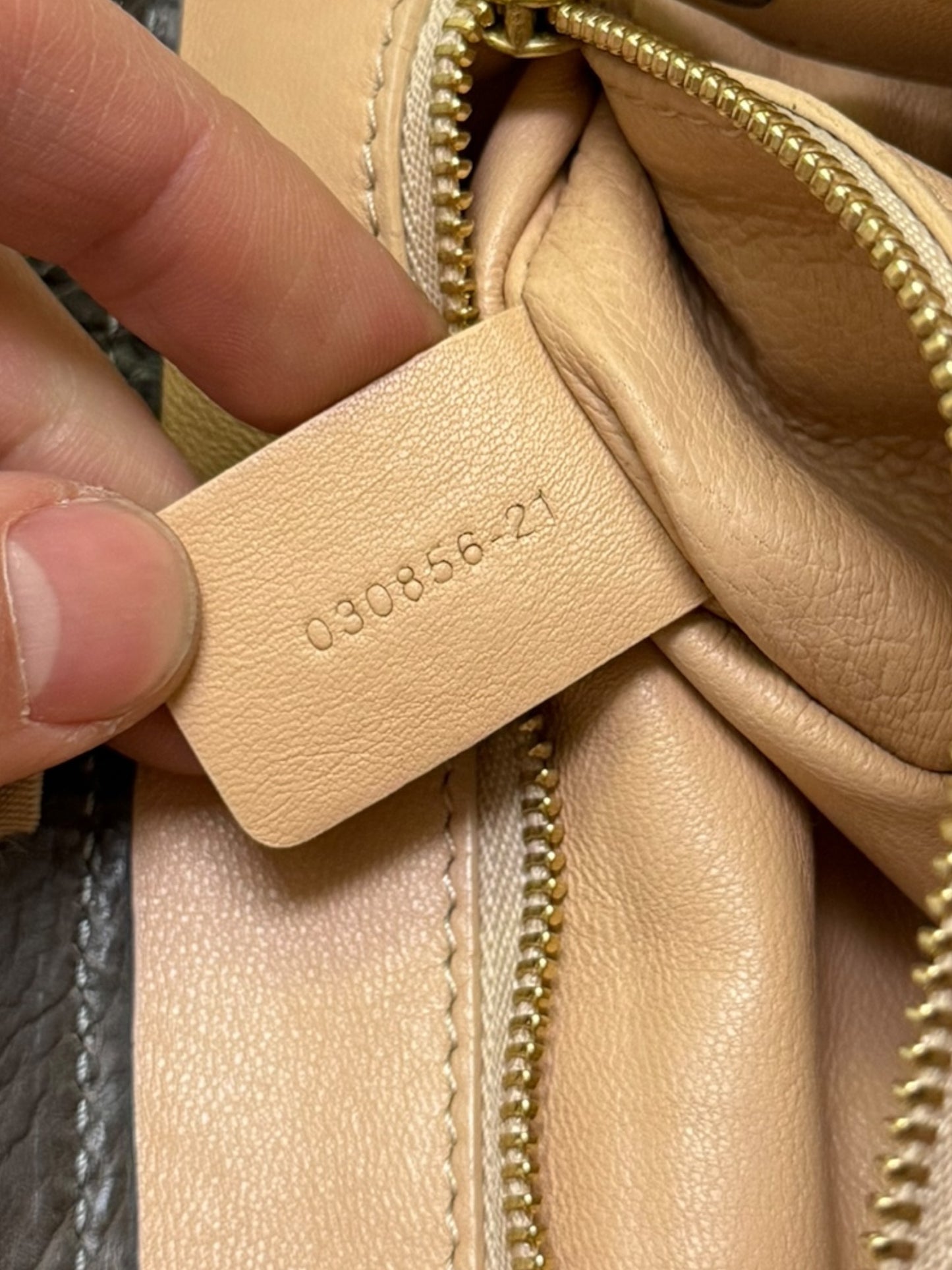 Python and Chain Strap Crossbody