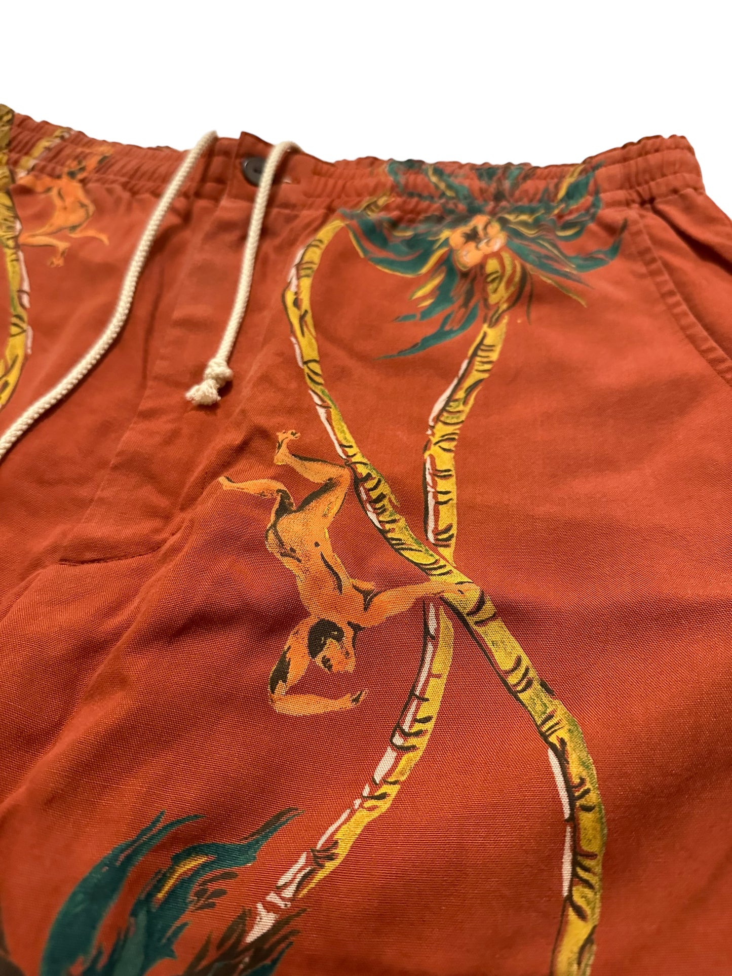 Rayon Hawaiian Painted Shorts