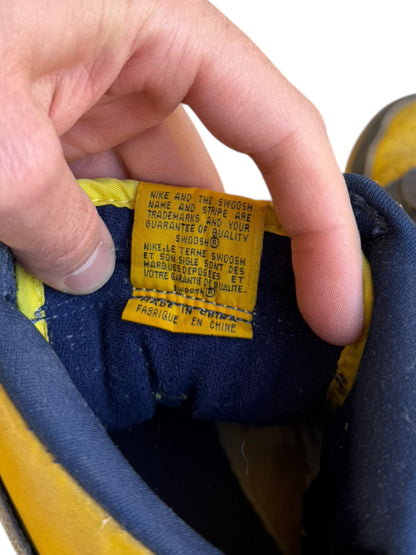 1998 Michigan High Dunk