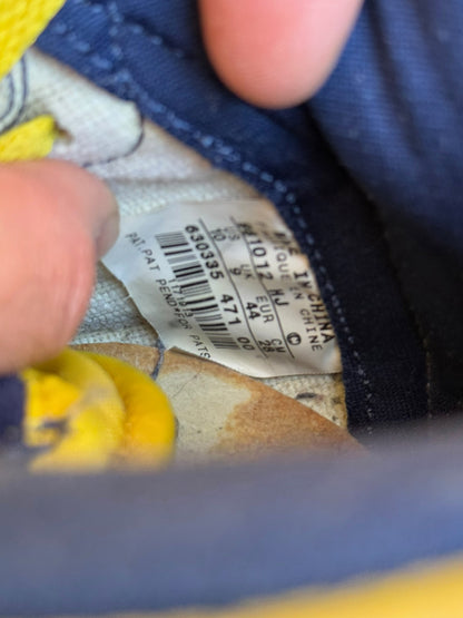 1998 Michigan High Dunk