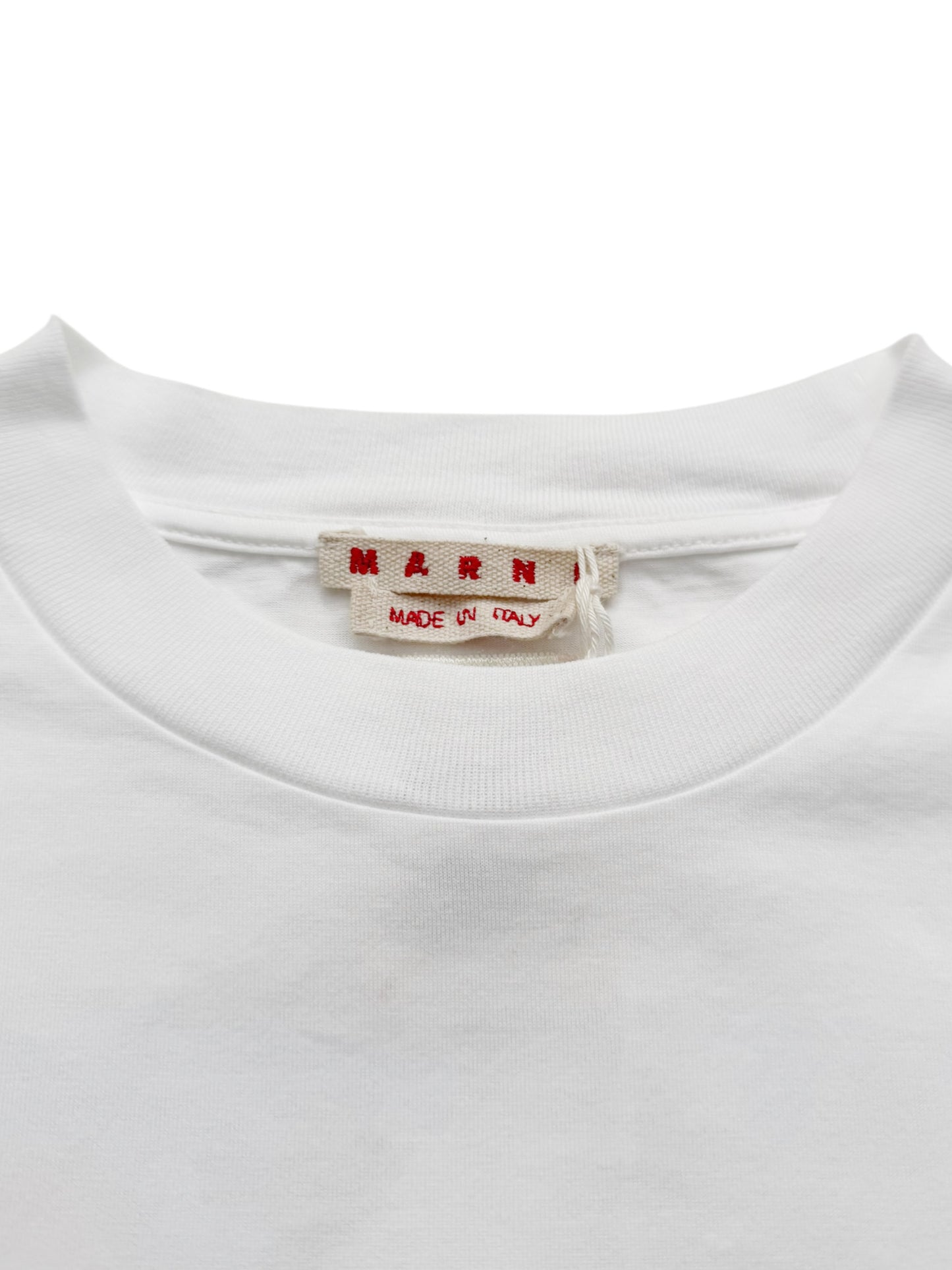 Flaminia Varonesi Art Shirt