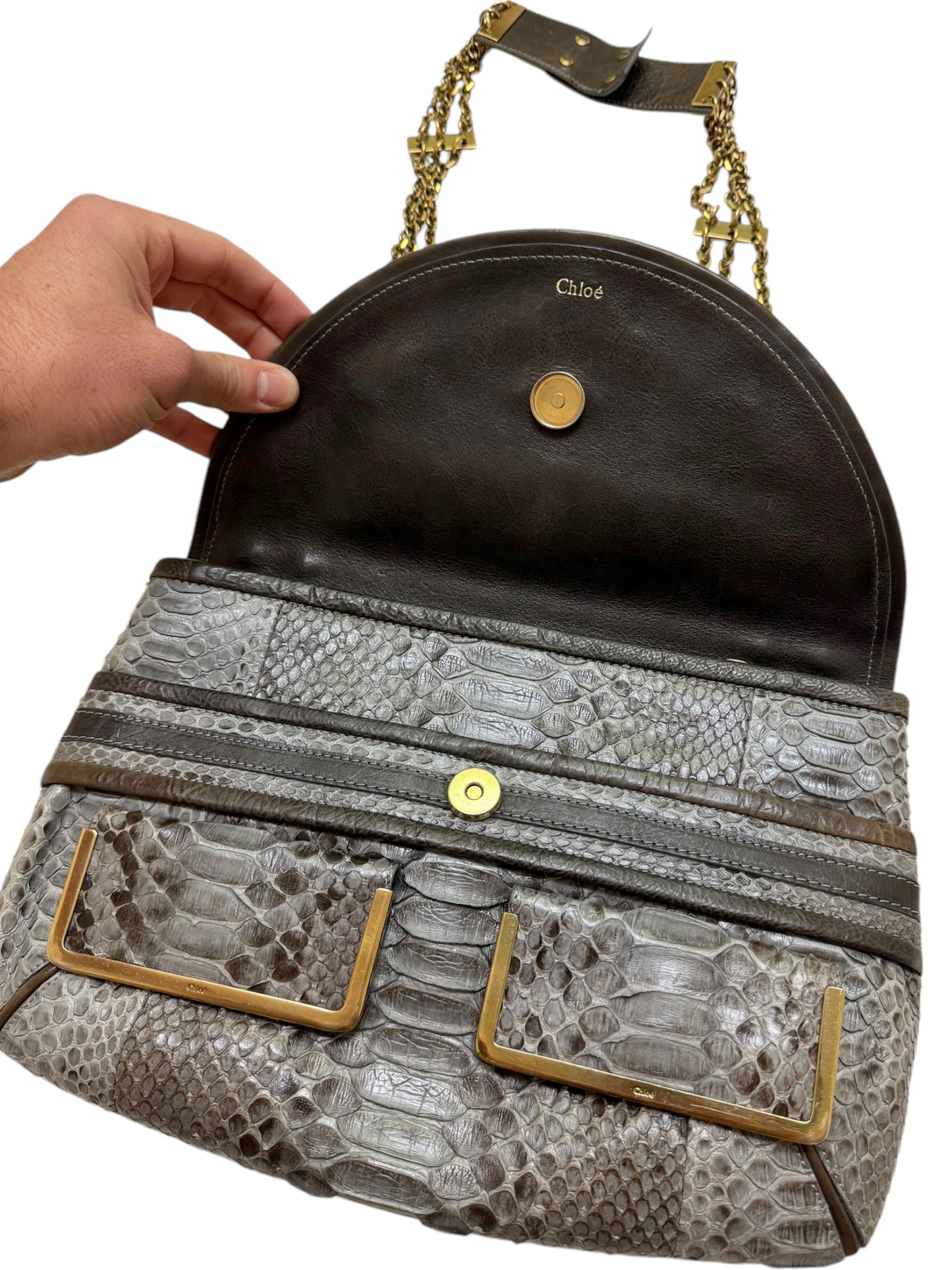 Python and Chain Strap Crossbody