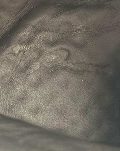 Mainline Leather High Ramones