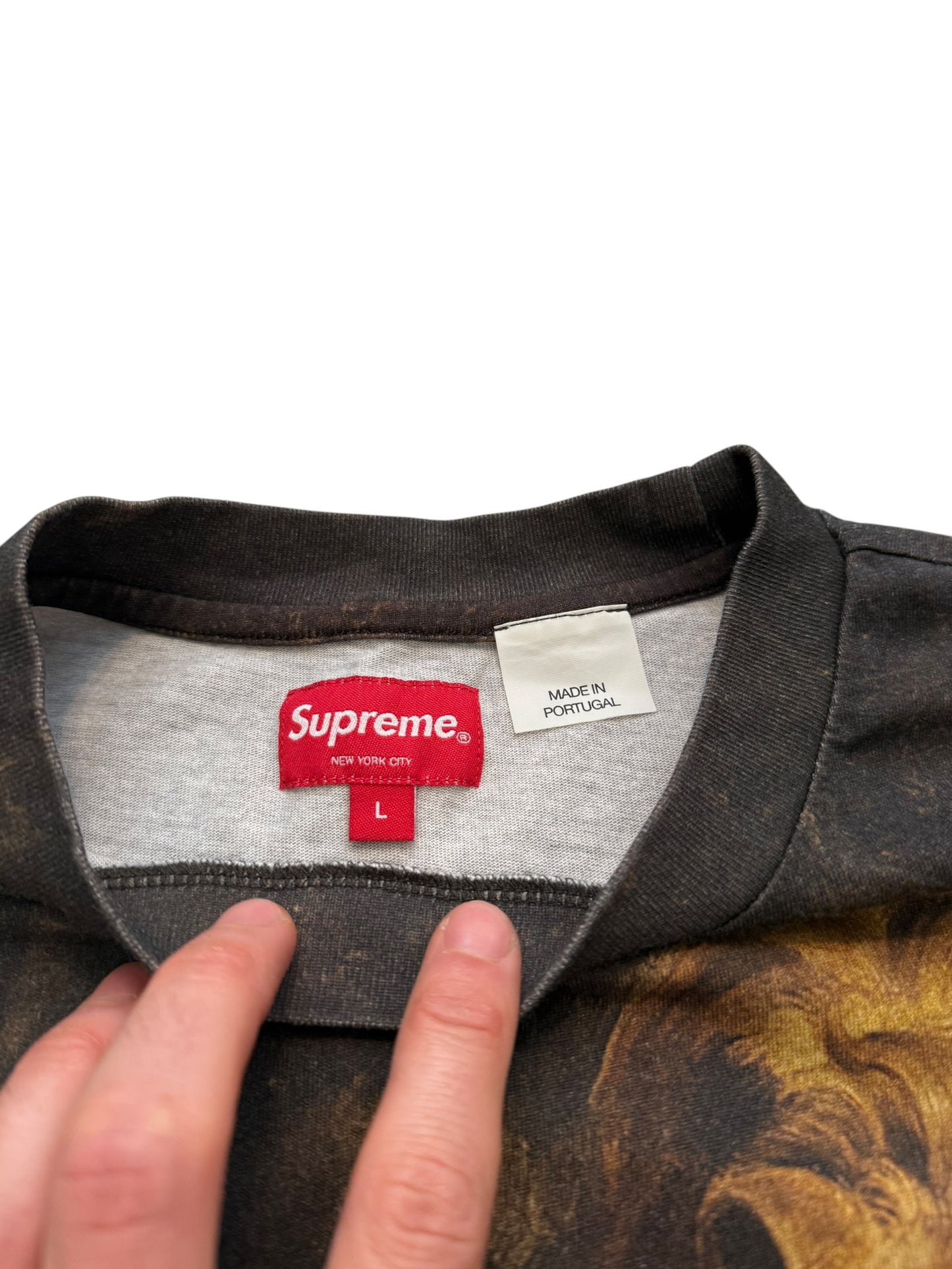 AOP Lion Pride Shirt