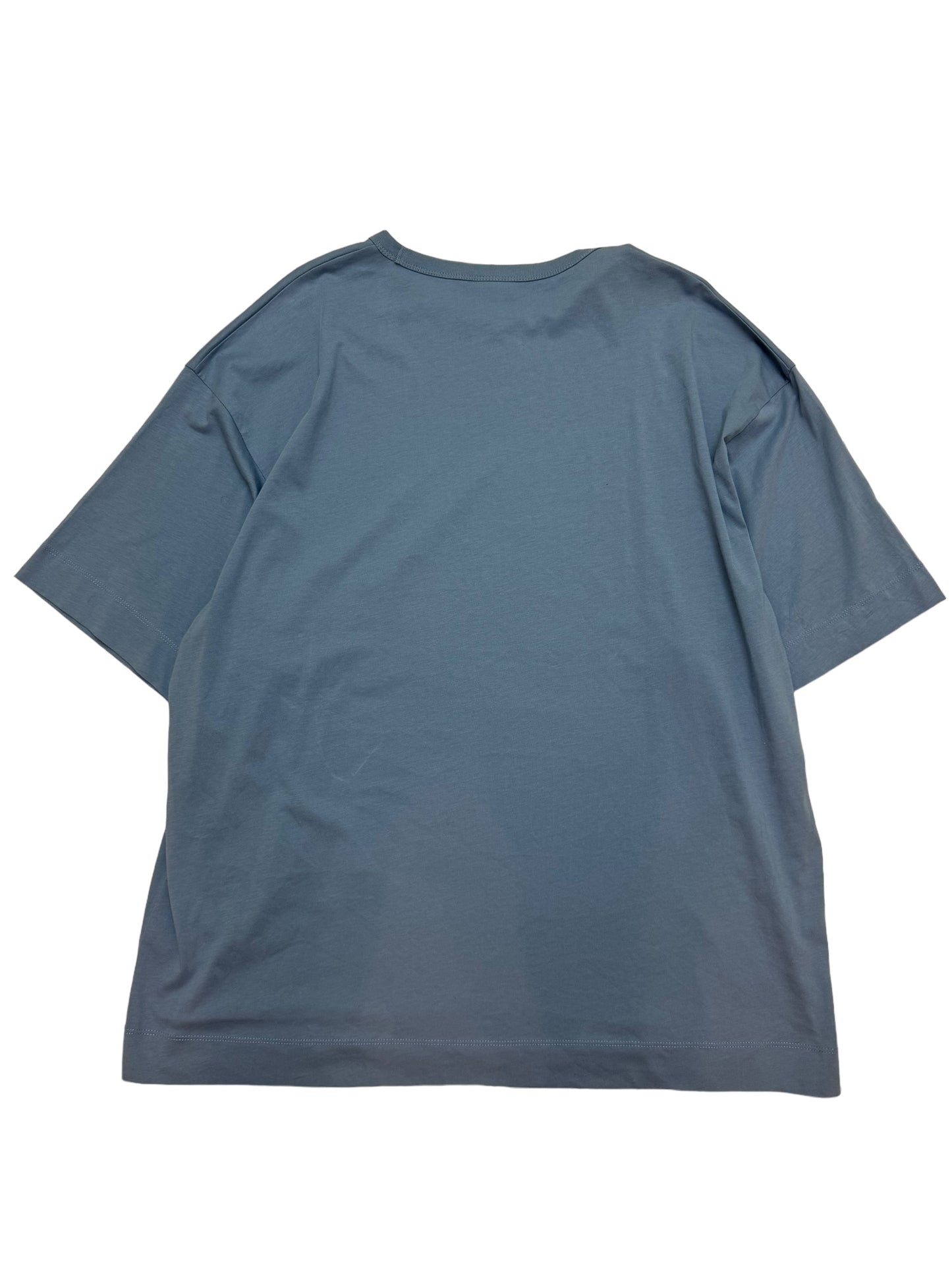 Oversized Pale Blue Shirt