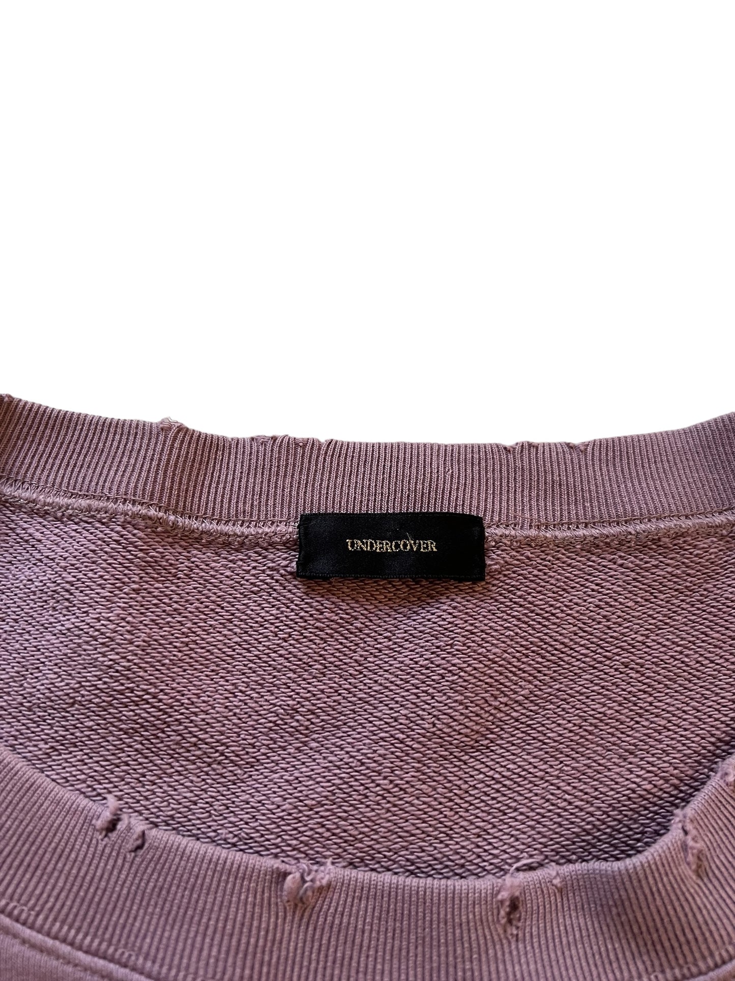 FW17 Cropped Deer Wing Sweatshirt