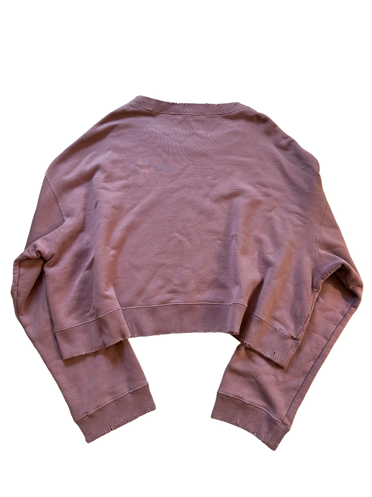 FW17 Cropped Deer Wing Sweatshirt